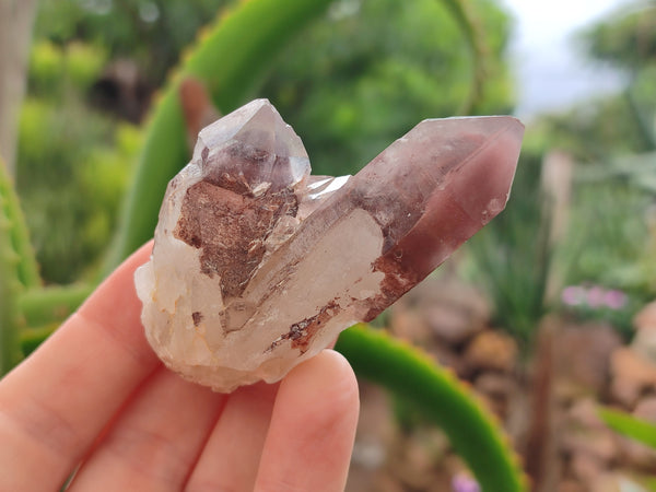 Natural Red Hematoid Quartz Crystals x 12 From Karoi, Zimbabwe