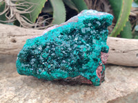 Natural Dioptase Cabinet Specimen x 1 From Reneville Brazzaville, Congo