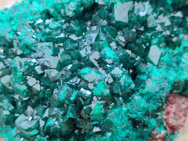 Natural Dioptase Cabinet Specimen x 1 From Reneville Brazzaville, Congo