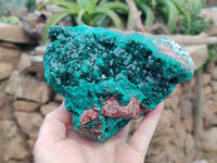 Natural Dioptase Cabinet Specimen x 1 From Reneville Brazzaville, Congo