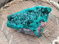 Natural Dioptase Cabinet Specimen x 1 From Reneville Brazzaville, Congo