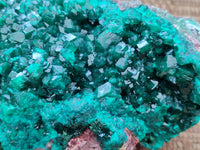 Natural Dioptase Cabinet Specimen x 1 From Reneville Brazzaville, Congo