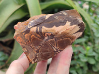 Natural Nguni Jasper Specimens x 6 From Prieska, South Africa