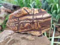 Natural Nguni Jasper Specimens x 6 From Prieska, South Africa