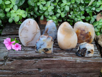 Polished On One Side Dendritic Agate Standing Free Forms x 6 From Madagascar