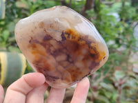 Polished On One Side Dendritic Agate Standing Free Forms x 6 From Madagascar