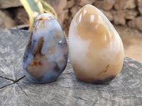 Polished On One Side Dendritic Agate Standing Free Forms x 6 From Madagascar