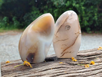 Polished On One Side Dendritic Agate Standing Free Forms x 6 From Madagascar