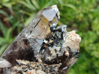 Natural Smokey Quartz With Aegirine Crystals x 4 From Malawi