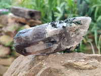 Natural Smokey Quartz With Aegirine Crystals x 4 From Malawi