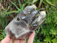 Natural Smokey Quartz With Aegirine Crystals x 4 From Malawi