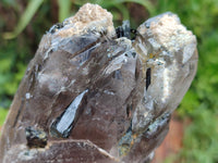 Natural Smokey Quartz With Aegirine Crystals x 4 From Malawi