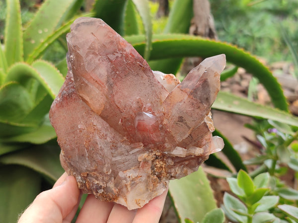 Natural Red Hematoid Quartz Clusters x 2 From Karoi, Zimbabwe