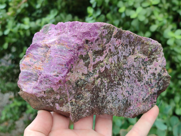 Natural Stichtite Specimens x 4 From Barberton, South Africa