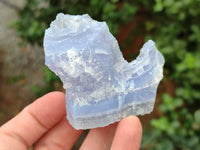 Natural Etched Blue Chalcedony Specimens x 12 From Nsanje, Malawi