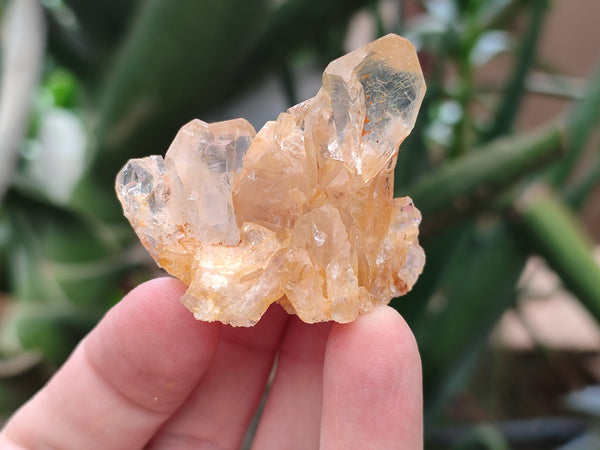 Natural Limonite Quartz Clusters x 35 From Solwezi, Zambia