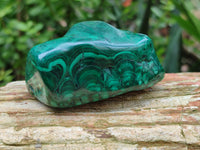 Polished Flower Banded Malachite Free Forms x 6 From Congo