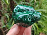 Polished Flower Banded Malachite Free Forms x 6 From Congo