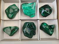 Polished Flower Banded Malachite Free Forms x 6 From Congo