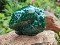 Polished Flower Banded Malachite Free Forms x 6 From Congo