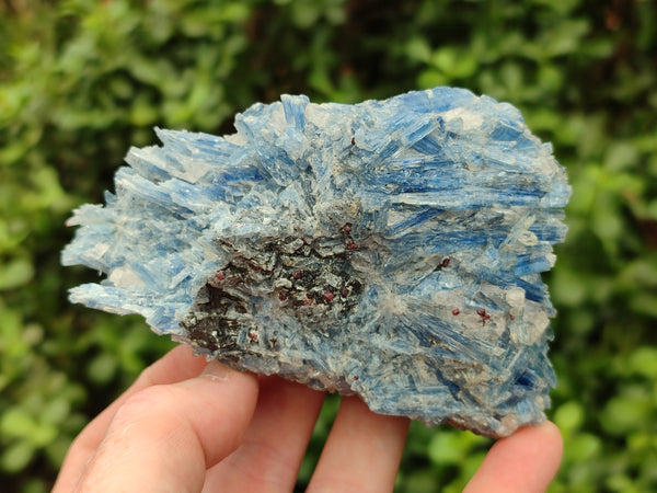 Natural Kyanite Matrix Specimens x 3 From Zimbabwe