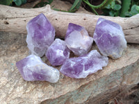 Polished Jacaranda Amethyst Quartz Crystals x 6 from Mumbwa, Zambia