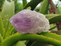 Polished Jacaranda Amethyst Quartz Crystals x 6 from Mumbwa, Zambia