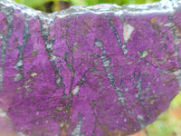 Polished On One Side Purpurite Specimens x 3 From Namibia