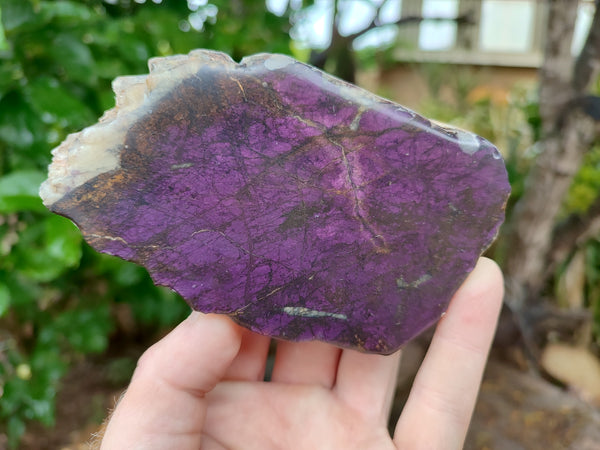 Polished On One Side Purpurite Specimens x 3 From Namibia