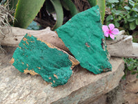 Natural Botryoidal Malachite Specimens x 2 From Congo