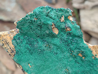 Natural Botryoidal Malachite Specimens x 2 From Congo