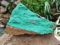 Natural Botryoidal Malachite Specimens x 2 From Congo