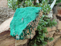 Natural Botryoidal Malachite Specimens x 2 From Congo