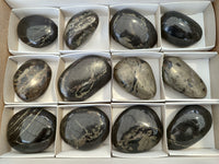 Polished Pharaoh Stone Free Forms x 12 From Zimbabwe