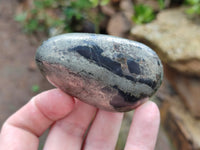 Polished Pharaoh Stone Free Forms x 12 From Zimbabwe