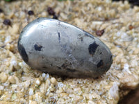 Polished Pharaoh Stone Free Forms x 12 From Zimbabwe