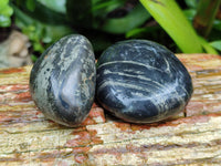 Polished Pharaoh Stone Free Forms x 12 From Zimbabwe