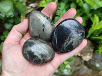 Polished Pharaoh Stone Free Forms x 12 From Zimbabwe