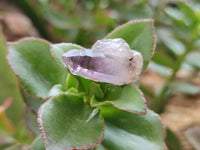 Natural Royal Zulu Amethyst Crystals x 70 from KwaZulu Natal, South Africa