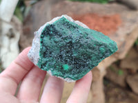 Natural Botryoidal Malachite Specimens x 6 From Congo