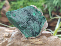 Natural Botryoidal Malachite Specimens x 6 From Congo