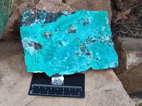 Natural Silica Chrysocolla Specimens x 2 From Kulukuluku, Congo