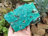 Natural Silica Chrysocolla Specimens x 2 From Kulukuluku, Congo