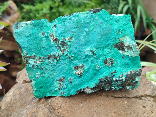 Natural Silica Chrysocolla Specimens x 2 From Kulukuluku, Congo