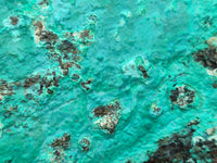 Natural Silica Chrysocolla Specimens x 2 From Kulukuluku, Congo