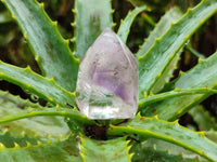 Polished Smokey Amethyst Window Quartz Crystals x 20 From Akansobe, Madagascar