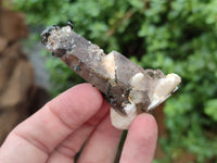 Natural Smokey Quartz With Aegirine Crystals x 27 From Malawi