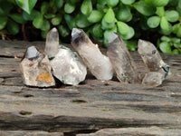 Natural Smokey Quartz With Aegirine Crystals x 27 From Malawi