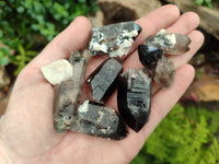 Natural Smokey Quartz With Aegirine Crystals x 27 From Malawi