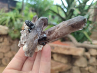 Natural Smokey Quartz With Aegirine Crystals x 27 From Malawi